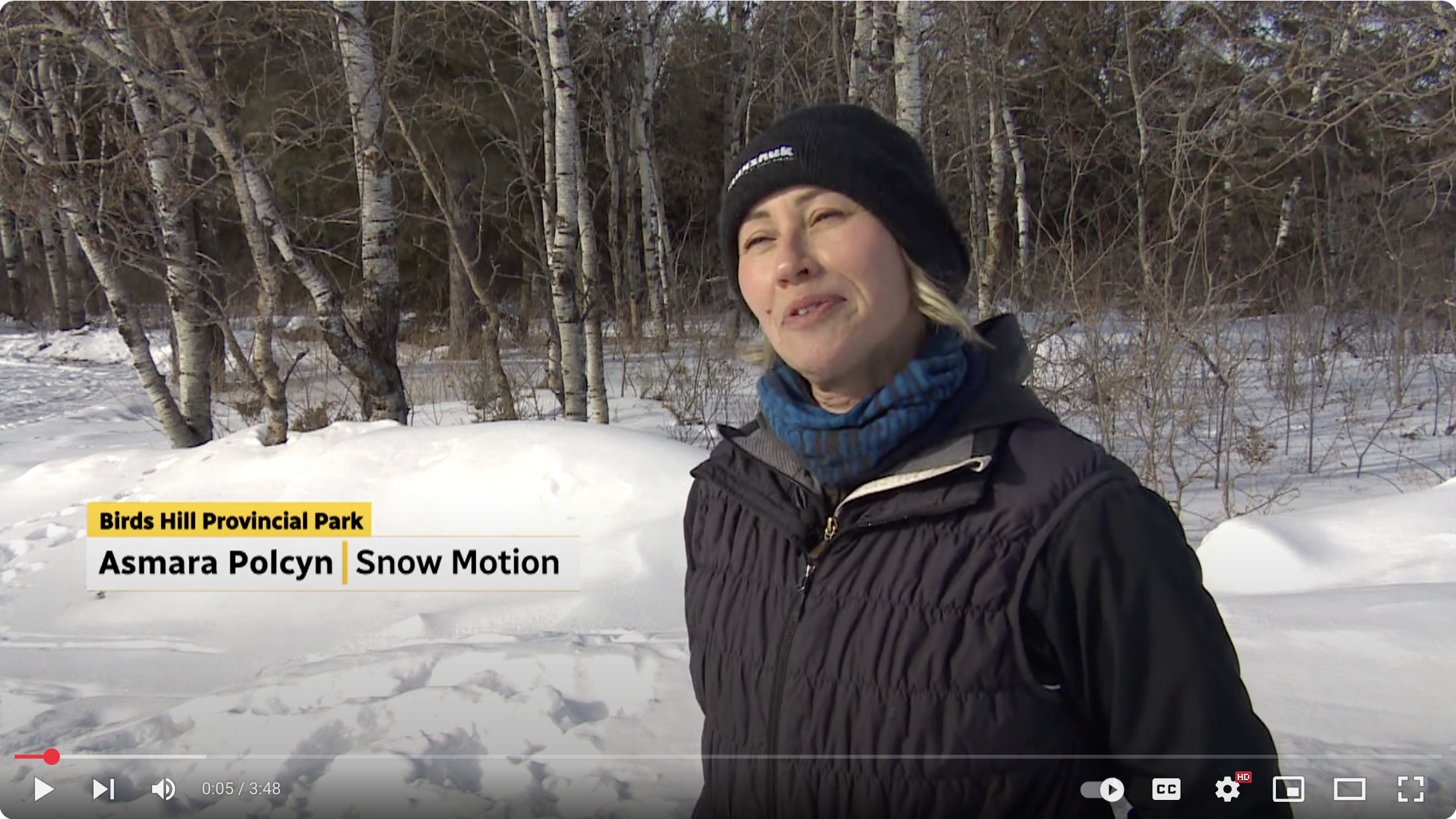 A winter adventure for every dog lover